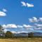 Mancos Cabin Rental on 80 Acres with Mountain View!
