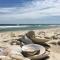 Beachy Lavallette Cottage with Outdoor Shower, Patio - Lavallette