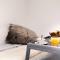 PENTHOUSE Loft 5MIN PALAIS DES FESTIVALS AND BEACH terrace view on castle - Cannes