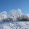 le refuge des Marmottes photo 17