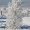 le refuge des Marmottes photo 20