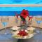 Amazing Beachfront Apartment in Hersonissos