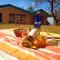 Merlin Grove Suites Simla