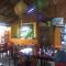 Andaman Sunflower