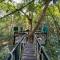 Khao Sok Tree House Resort - 考索