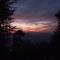 Merlin Grove Suites Simla