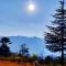 Merlin Grove Suites Simla