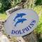 Dolphins - Salcombe