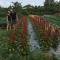 Mekong Farmstay CanTho - C.R Floating Market - Can Tho