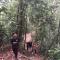 GRANDMA GUEST HOUSE including jungle Trek - 武吉拉旺