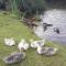Thandamanzi Self Catering