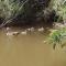 Thandamanzi Self Catering