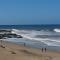 Lobos de Mar - Punta del Diablo