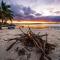 Walkabout Lodge - Nhulunbuy