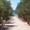 Olive Garden Resort Jadrija