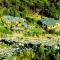 Prakriti Aalay - Riverside Mountain View Boutique Eco Resort - Dharamsala
