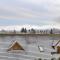 The Dookit - Aviemore Town House