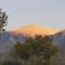 Bristlecone Motel