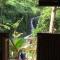 Pulangbato Falls Mountain Resort - Dumaguete