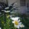 Country Lane Guesthouse