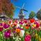Magnificent farmhouse in Central Holland 4A & 2C