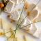 Spa Hotel Orbita - Blagoevgrad