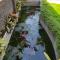 HOMESTAY VILLA
