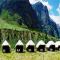 Bhaga Eco Camp