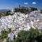 CASARES appart 2 ch dans parc tropical avec vue sur mer, montagne et piscine