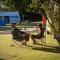 Motueka TOP 10 Holiday Park