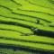 PU LUONG BOUTIQUE GARDEN Spa & Travel