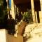 The Plaza Apartment - Bethlehem