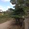 Dreams River view Homestay Coorg