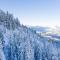 Dachstein Mountainview Gosau