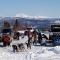 Denali Wild Stay - Moose Cabin, Free Wifi, 2 private bedrooms, sleep 6