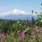 Denali Wild Stay - Moose Cabin, Free Wifi, 2 private bedrooms, sleep 6