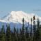 Denali Wild Stay - Redfox Cabin, Free Wifi, private, sleep 6