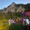 The Scene Cliff View Villas The Scene Cliff View Villas