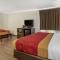 Econo Lodge Inn & Suites Fairgrounds