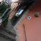 Hotel Alga