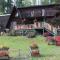 Sunny Bluffs Chalets