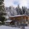 Ferienhaus Skiblume