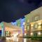 Holiday Inn Express Hotel & Suites Decatur, TX, an IHG Hotel - Decatur