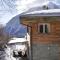 Ferienhaus Skiblume