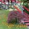 Sunny Bluffs Chalets