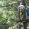 All Inclusive - Marco Polo Alpina Familien- & Sporthotel