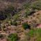 Masai Lodge
