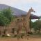 Mkhiweni 3 Bedroom Villa at Dombeya Wildlife Estate