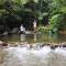 Daintree Cascades