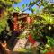 Eva Lanka Hotel - Beach & Wellness